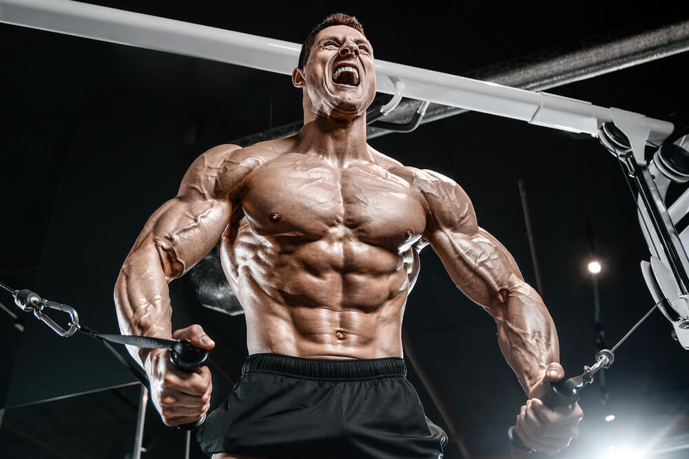 Hormone de croissance HGH pour le développement musculaire