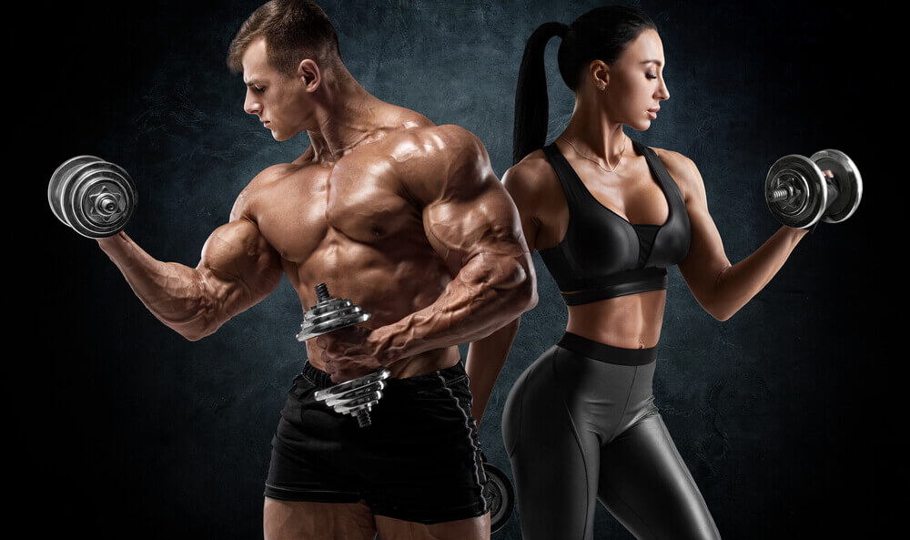Les meilleurs BCAA pour les hommes et les femmes