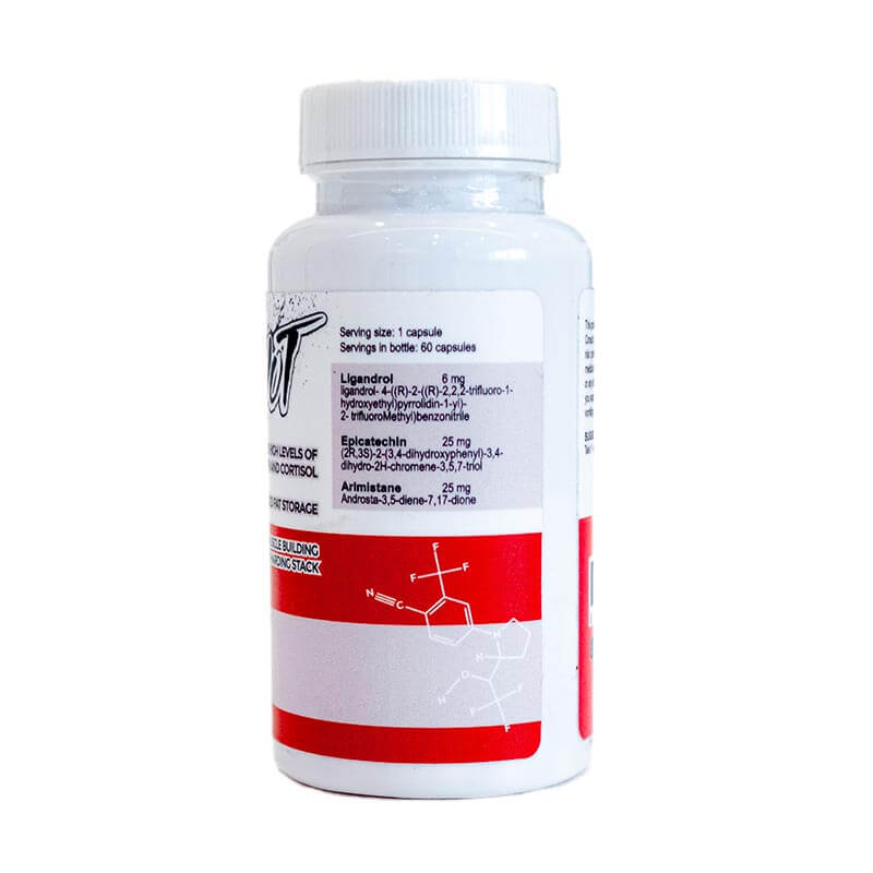 Patriot EPI SARM Stack