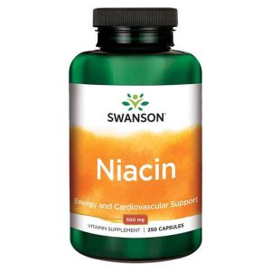 Swanson Niacin 100mg