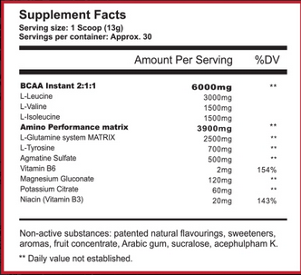 Warrior Labs BCAA AMINO 2:1:1
