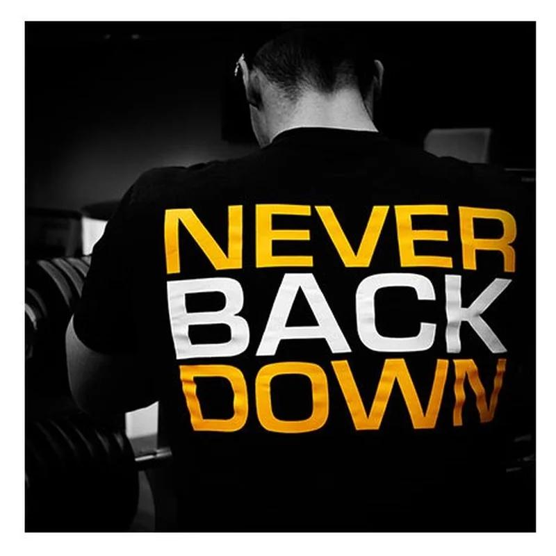 Dedicated Apparel T-Shirt 