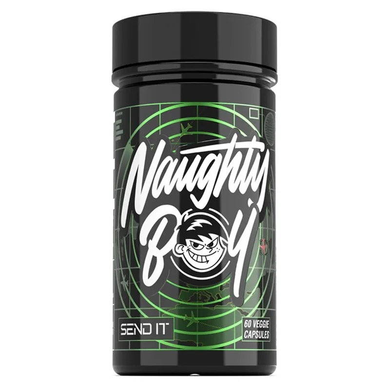 Naughty Boy Send it