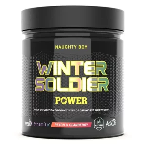 Naughty Boy Winter Soldier Power