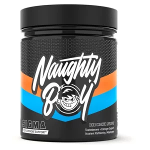 Naughty Boy Sigma
